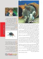 مجله نوجوان 225 صفحه 11