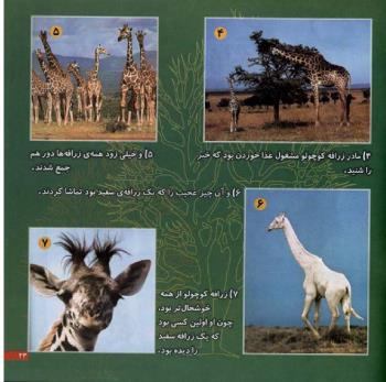 مجله خردسال 12 صفحه 23