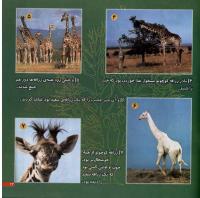 مجله خردسال 12 صفحه 23