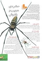 مجله نوجوان 226 صفحه 8