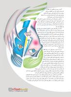 مجله نوجوان 227 صفحه 19