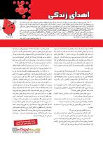 مجله نوجوان 227 صفحه 29