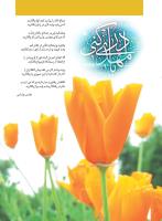 مجله نوجوان 228 صفحه 36
