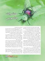 مجله نوجوان 229 صفحه 11