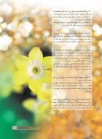 مجله نوجوان 229 صفحه 5