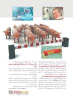 مجله نوجوان 231 صفحه 27