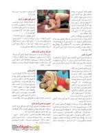 مجله نوجوان 232 صفحه 21