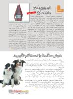 مجله نوجوان 232 صفحه 13
