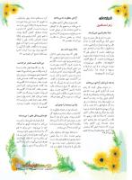 مجله نوجوان 233 صفحه 5