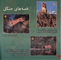 مجله خردسال 13 صفحه 22
