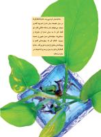 مجله نوجوان 241 صفحه 2