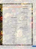 مجله نوجوان 243 صفحه 20