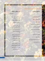مجله نوجوان 243 صفحه 21