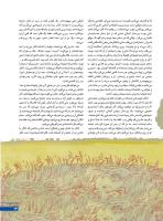 مجله نوجوان 243 صفحه 13