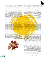 مجله نوجوان 243 صفحه 29