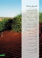 مجله نوجوان 245 صفحه 25