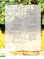 مجله نوجوان 246 صفحه 25