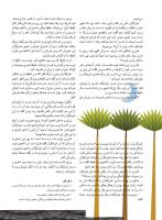مجله نوجوان 246 صفحه 12