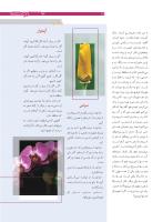 مجله نوجوان 180 صفحه 13
