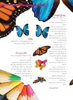 مجله نوجوان 180 صفحه 29