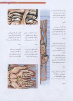 مجله نوجوان 190 صفحه 9