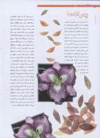 مجله نوجوان 190 صفحه 10