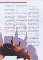 مجله نوجوان 191 صفحه 21