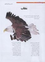 مجله نوجوان 191 صفحه 8