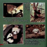 مجله خردسال 16 صفحه 21