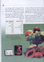 مجله کودک 34 صفحه 29