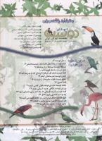 مجله کودک 56 صفحه 3