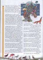 مجله کودک 57 صفحه 25