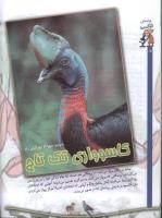 مجله کودک 57 صفحه 14