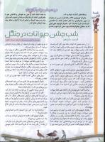 مجله کودک 57 صفحه 24