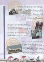 مجله کودک 57 صفحه 31