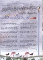 مجله کودک 59 صفحه 24