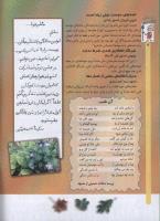 مجله کودک 62 صفحه 4