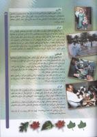 مجله کودک 62 صفحه 31