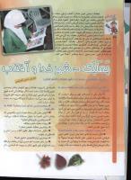 مجله کودک 63 صفحه 26