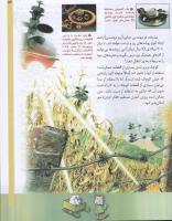مجله کودک 68 صفحه 13