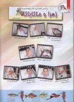 مجله کودک 78 صفحه 14