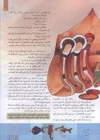 مجله کودک 81 صفحه 9
