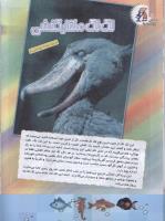 مجله کودک 81 صفحه 16