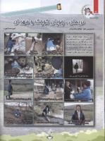 مجله کودک 82 صفحه 14