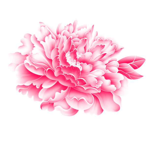 Realistic-pink-flower-psd-graphics