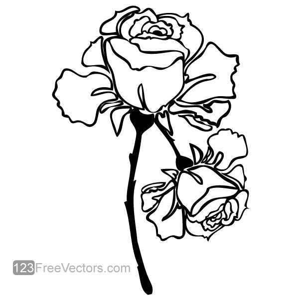 206-hand-drawn-rose-vector-image