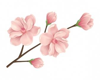 floral-background-design_1262-2549